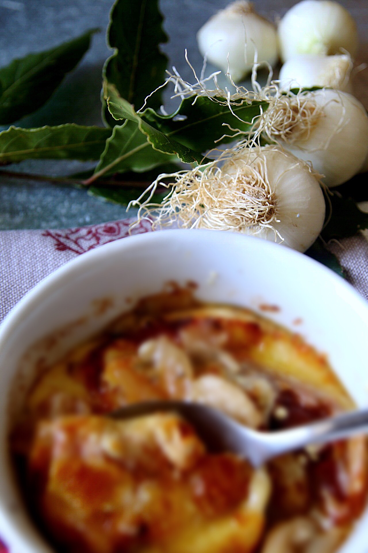 zuppa di cipolle 3