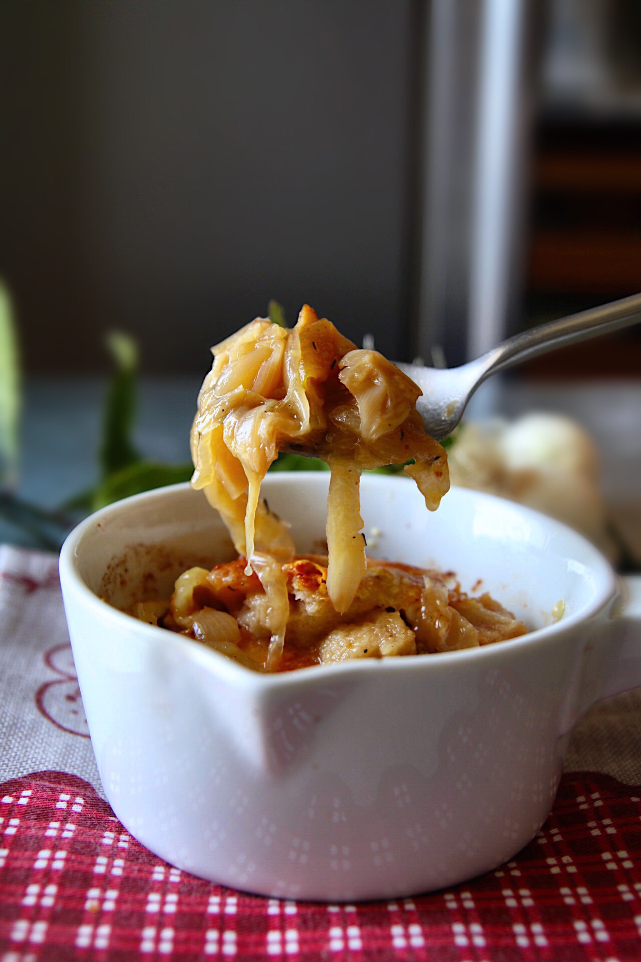 zuppa di cipolle