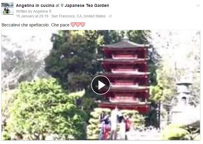 Japanese tea garden 2